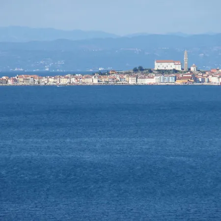 Salvore Crveni Vrh